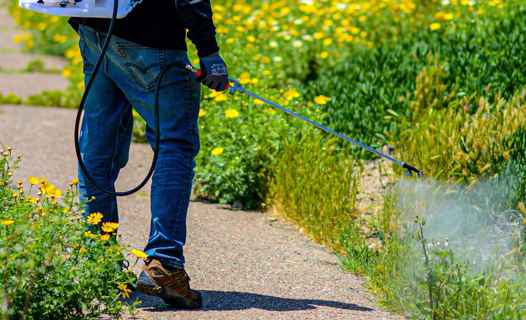 Pest control technician applying mosquito, flea, and tick control treatment around a residential yard